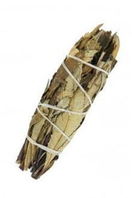 Hovedbilde Yerba Santa Salvie  10 cm